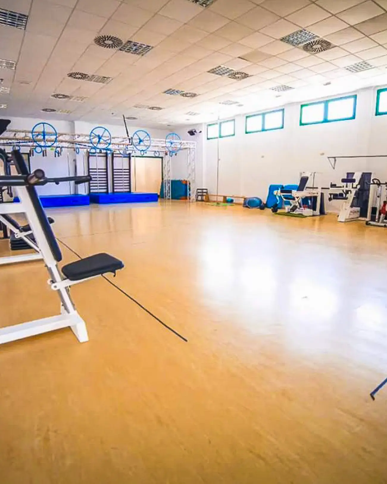 Gimnasio