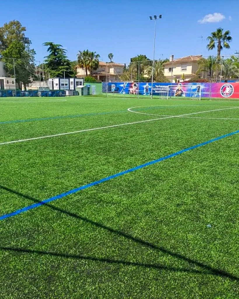 Campo de fútbol de Iale Sport Center.