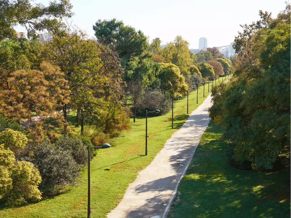 Parque Turia de la ciudad de Valencia.