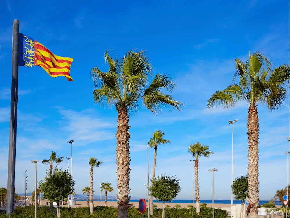 Las Banderas de la Marina Real de Valencia.